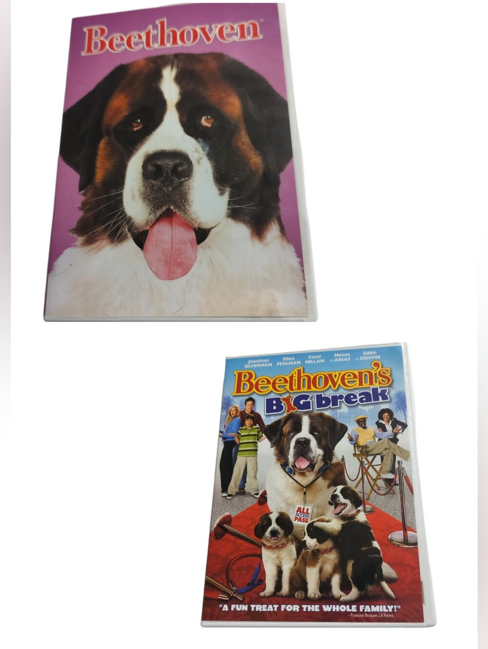 Beethoven & Beethoven' Big Break DVD Movies